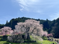 やわらかく、でも揺るがない
〜信頼を育む“しなやかさ”という在り方〜